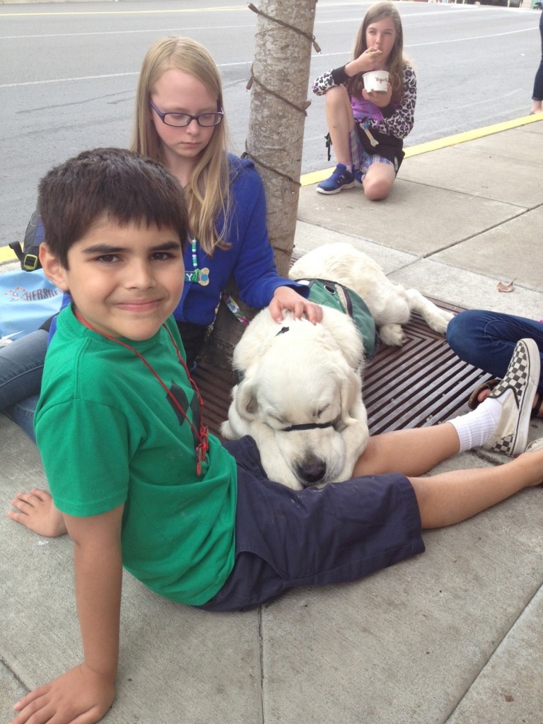 service dogs for children
