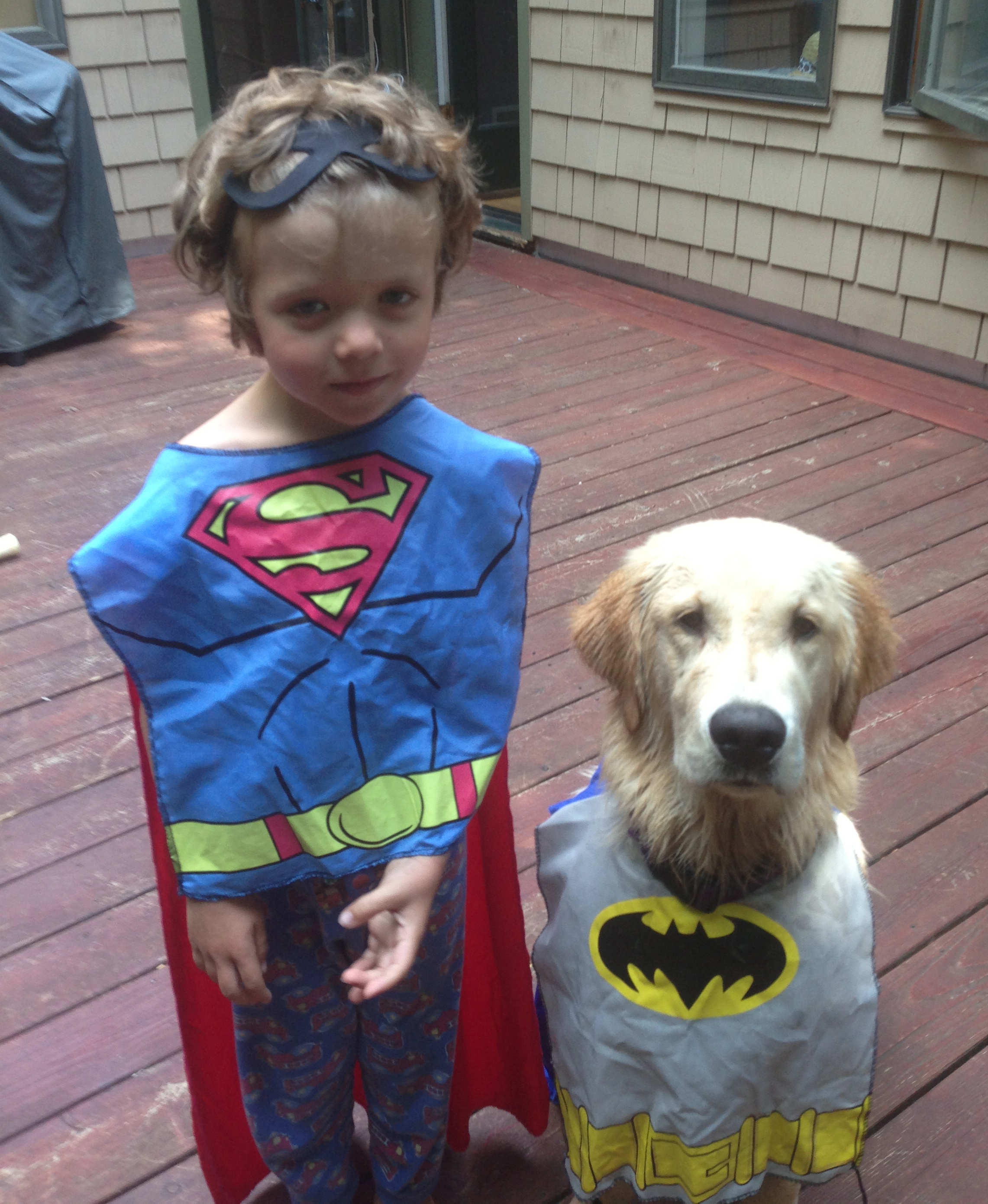 Superpower dogs