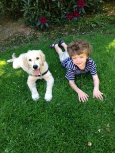 Hudson helped us overcome grief over the loss of our dog, Lucy